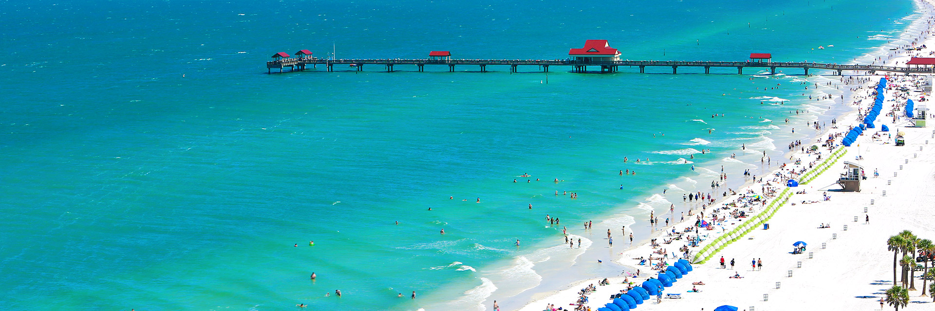 things to do of clearwater florida hotel